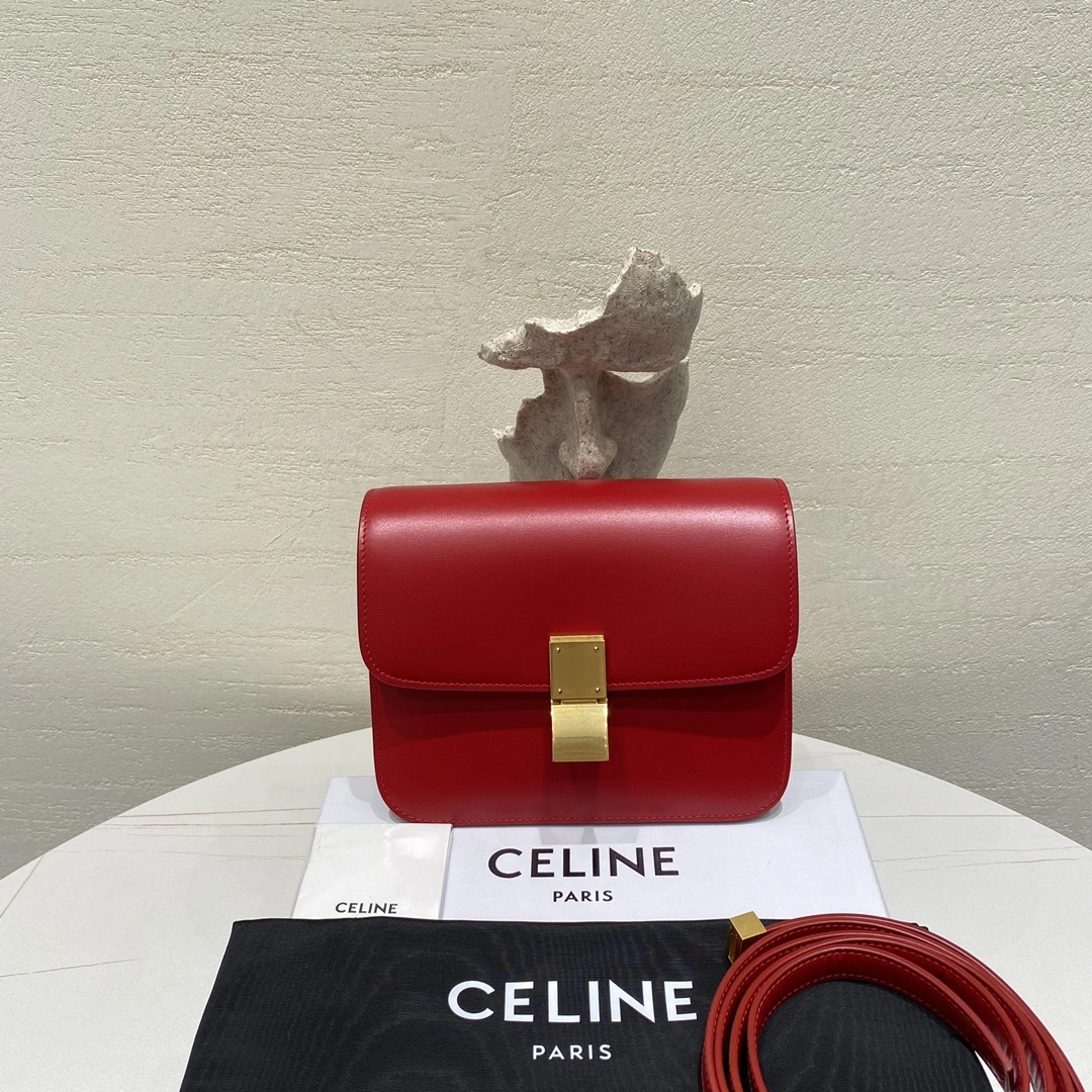 Custombag-- 192523DLS.27OR high quality version item：C-B806D25163